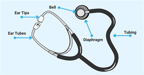 About stethoscope. .